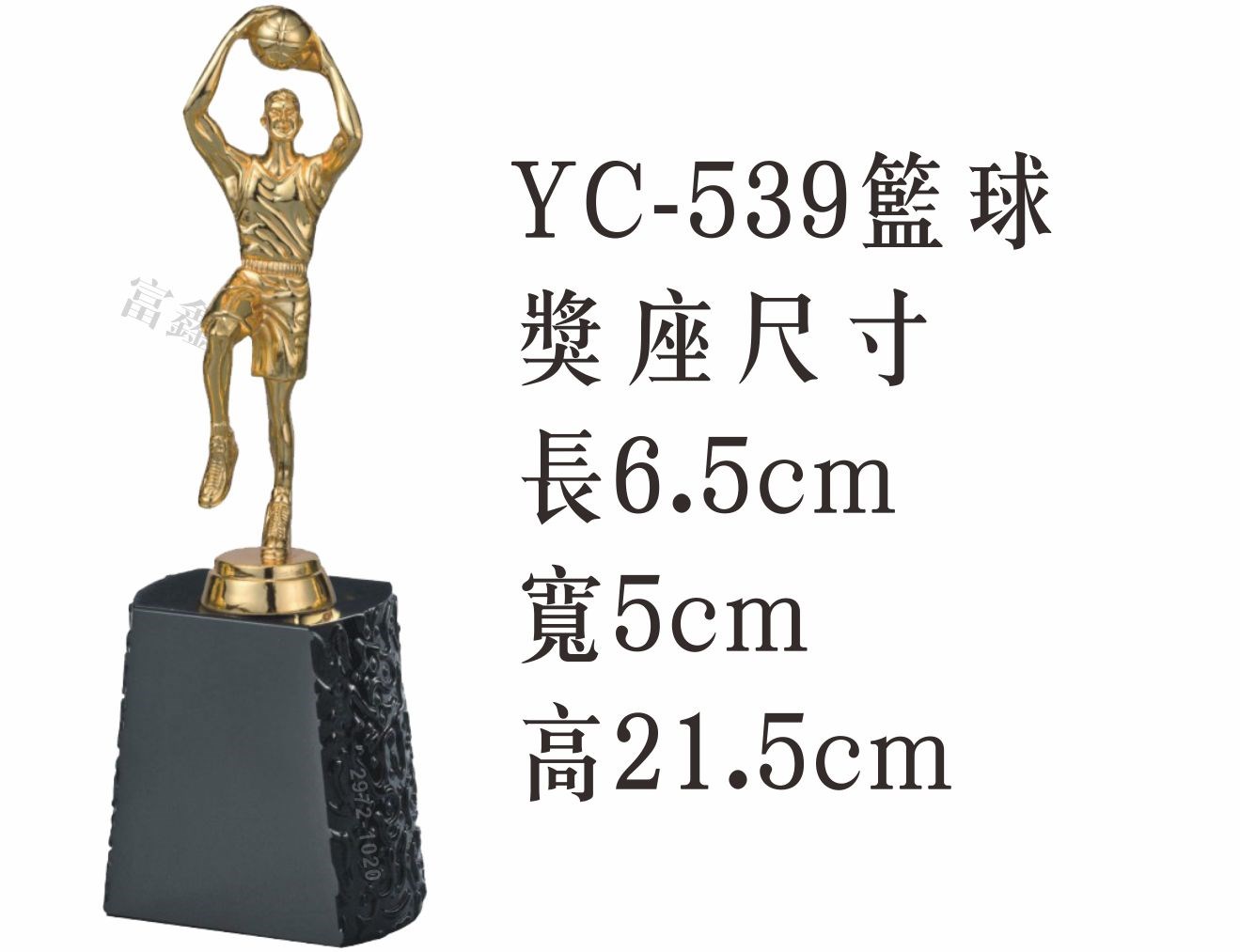 YC-539籃球