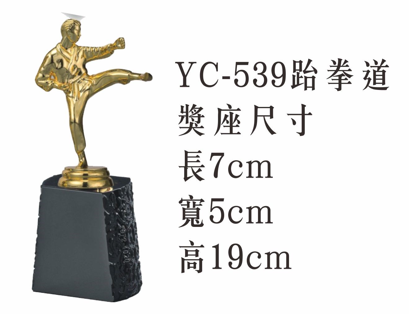 YC-539跆拳道