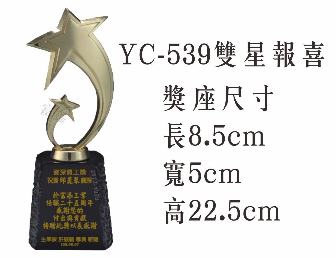 YC-539雙星報喜