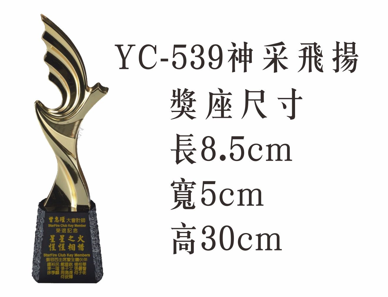 YC-539神采飛揚