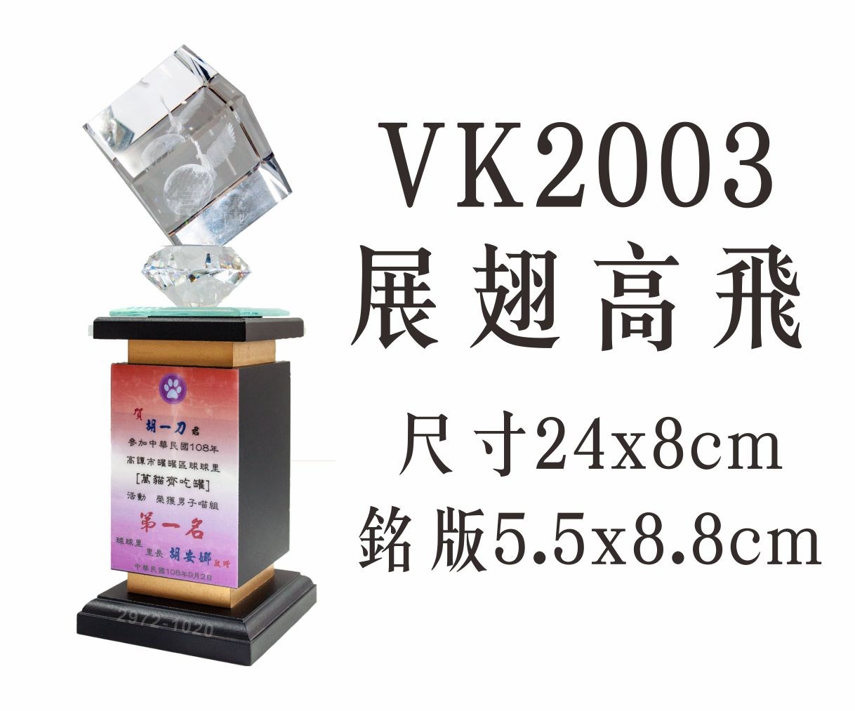 VK2003展翅高飛