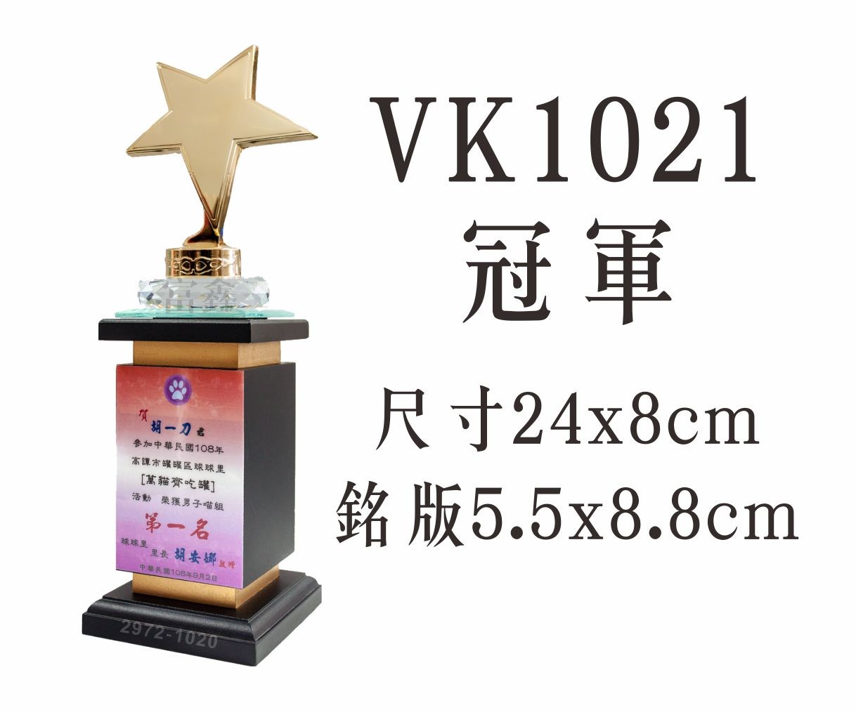 VK1021冠軍