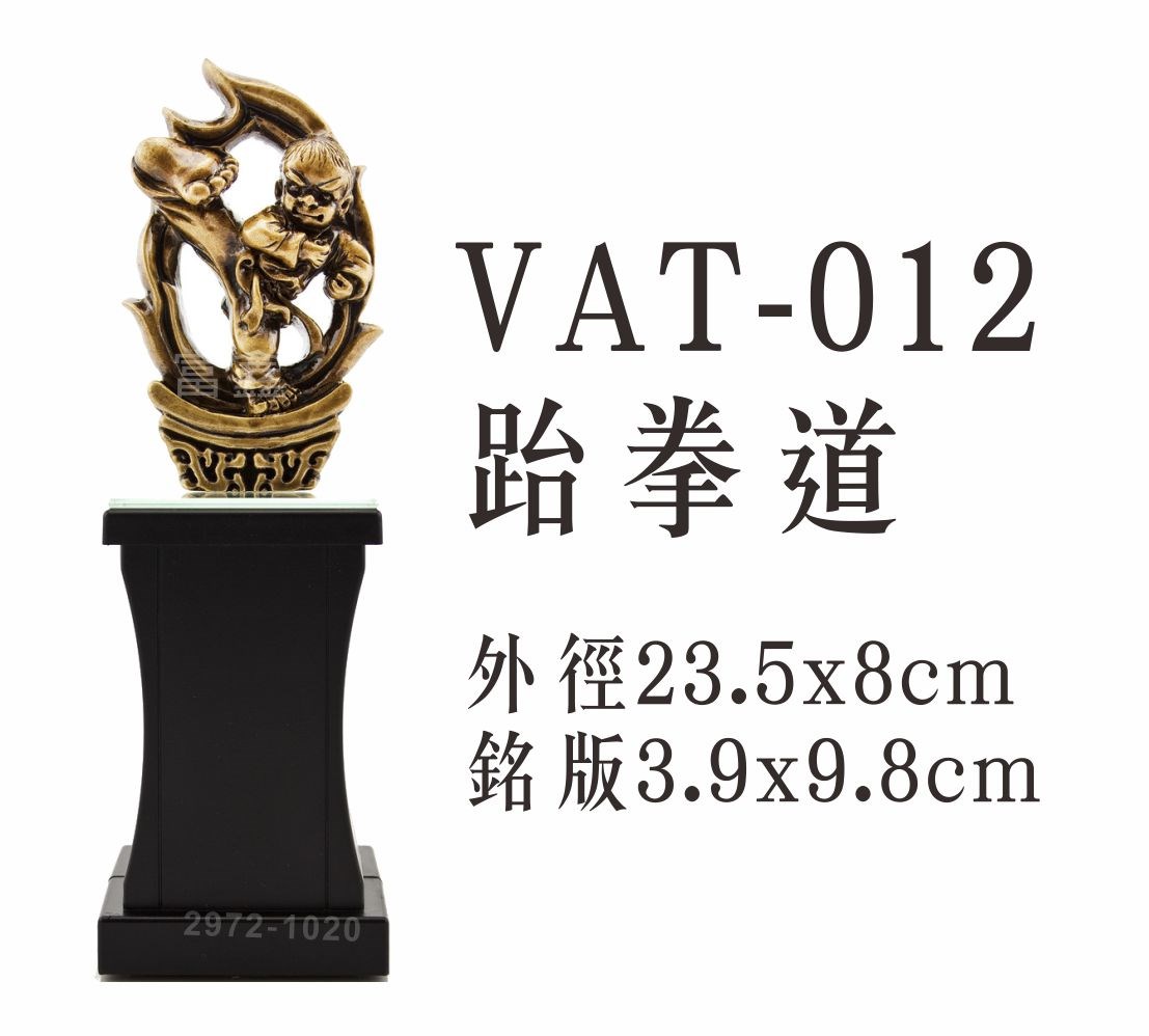 VAT-012跆拳道