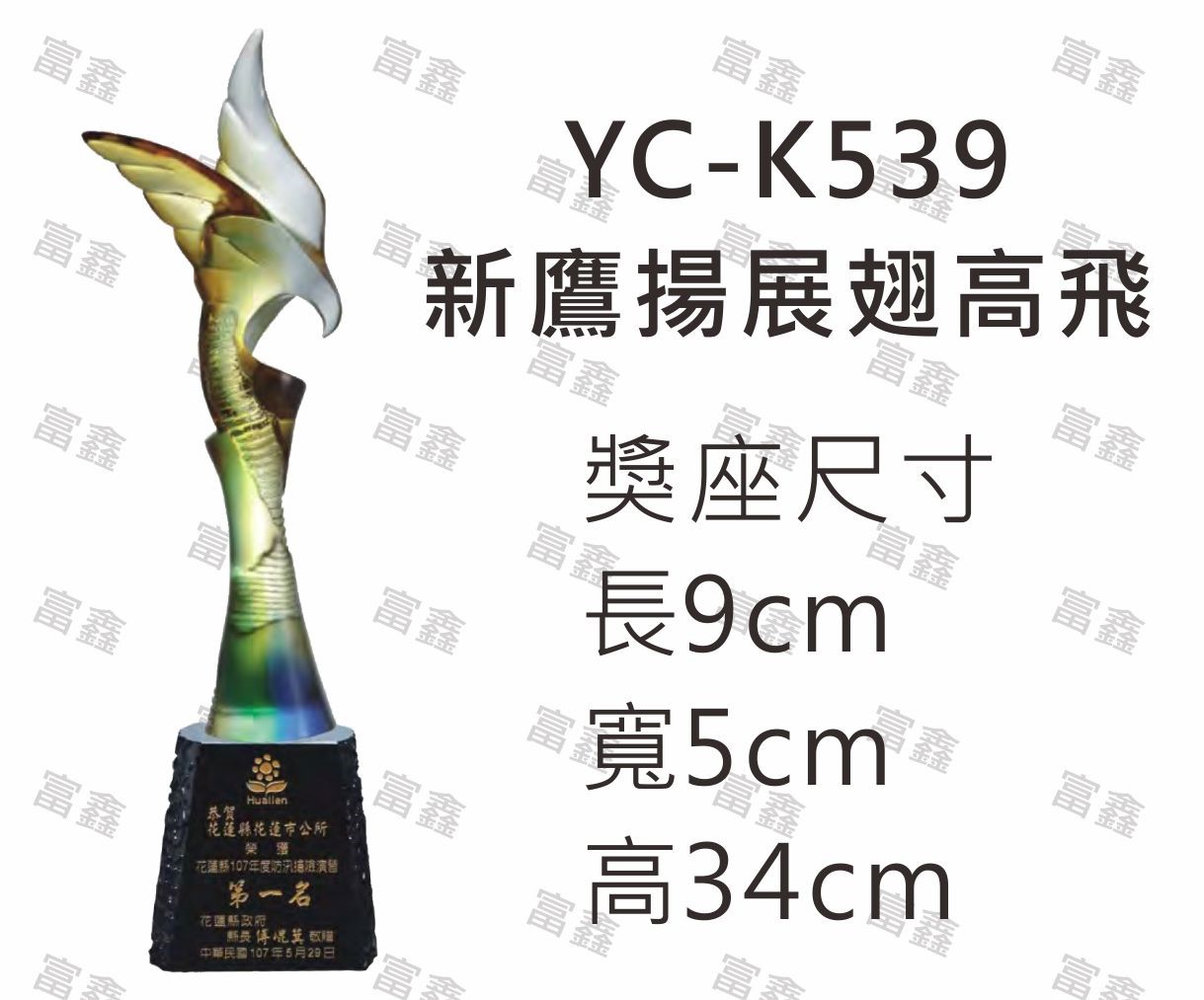 YC-K539新鷹揚展翅高飛