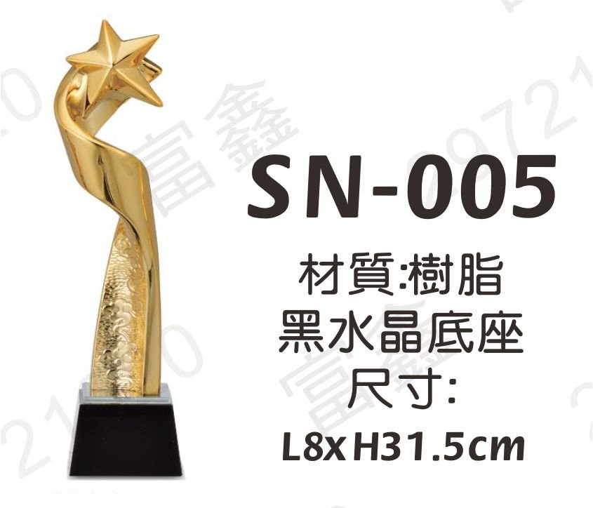 SN-005璀璨之星(星星)黑水晶獎座