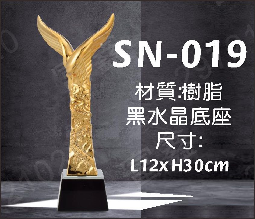 SN-019鴻圖大展黑水晶獎座