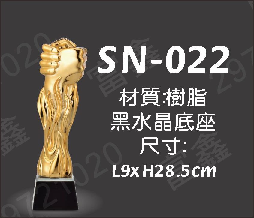 SN-022共創黑水晶獎座