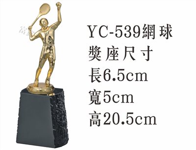 YC-539網球