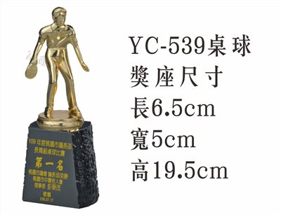 YC-539桌球