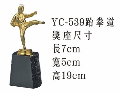 YC-539跆拳道