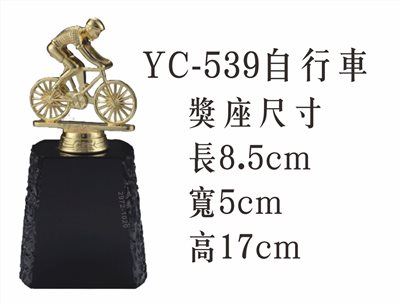 YC-539自行車