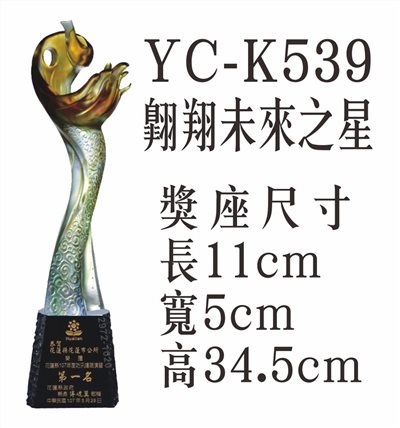 YC-K539翱翔未來之星