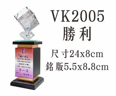 VK2005勝利