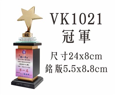 VK1021冠軍