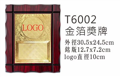 T6002金箔獎牌