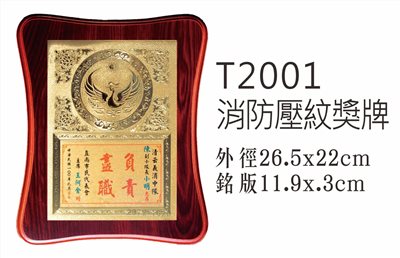 T2001消防壓紋獎牌