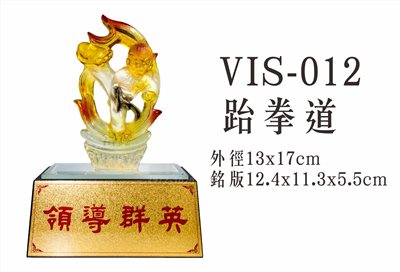 VIS-012跆拳道 