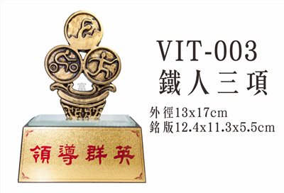 VIT-003鐵人三項