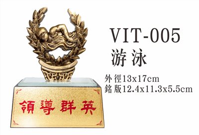 VIT-005游泳