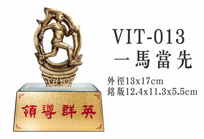 VIT-013路跑馬拉松田徑