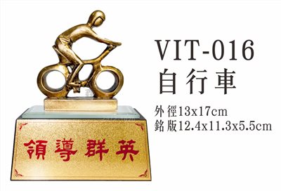 VIT-016自行車