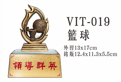 VIT-019籃球 