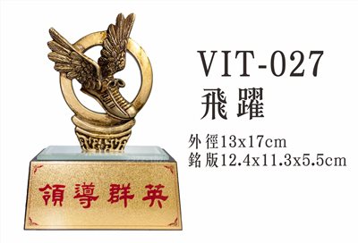 VIT-027飛躍 