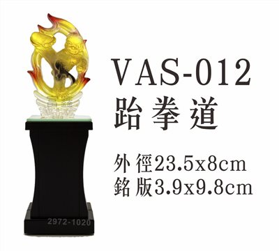 VAS-012跆拳道