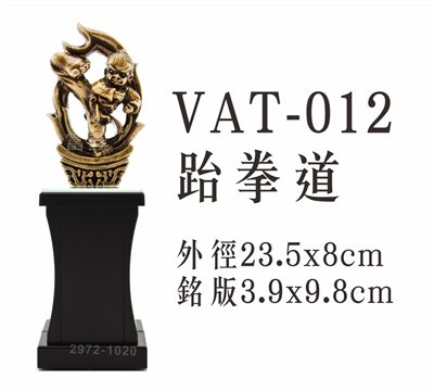 VAT-012跆拳道