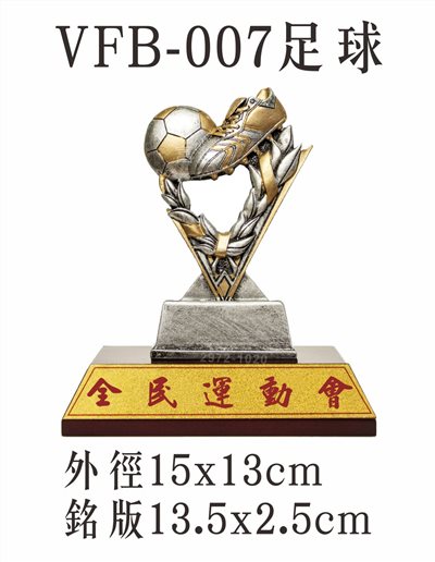 VFB-007足球