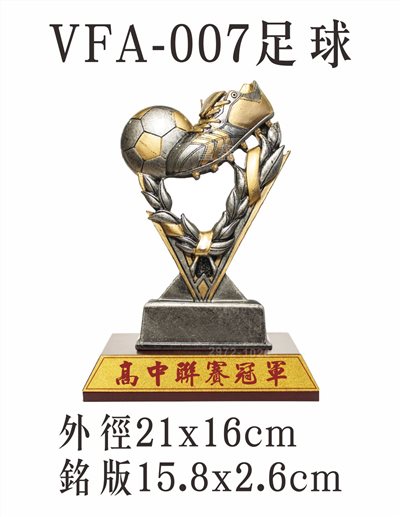 VFA-007足球