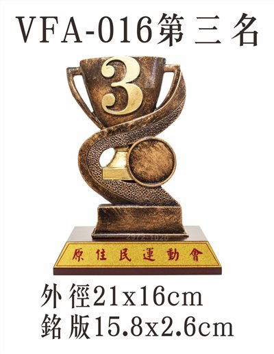 VFA-016第三名