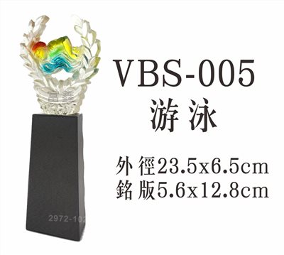 VBS-005游泳