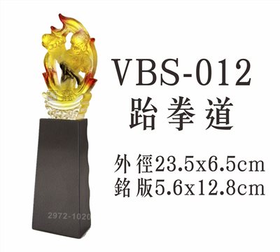 VBS-012跆拳道