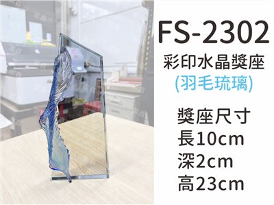 FS-2302彩印水晶獎座(羽毛)