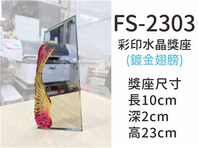 FS-2303彩印水晶獎座(翅膀)