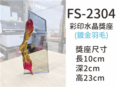 FS-2304彩印水晶獎座(羽毛)