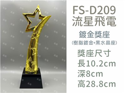 FS-D209流星飛電