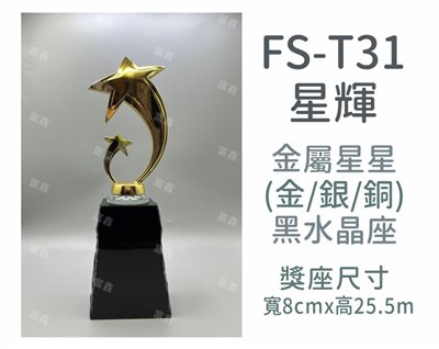 FS-T31星輝