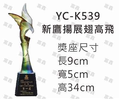 YC-K539新鷹揚展翅高飛