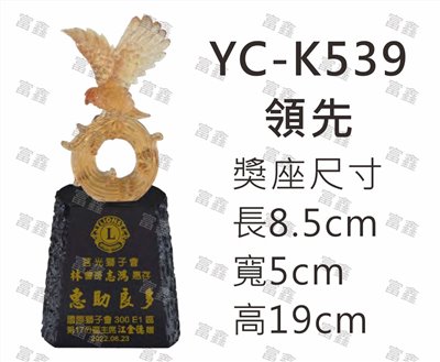 YC-K539領先