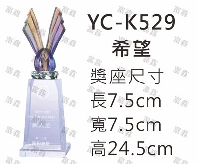 YC-K529希望