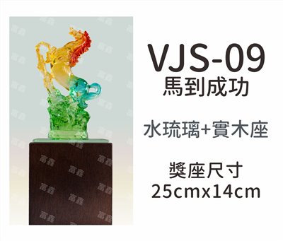 VJS-09