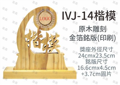 IVJ-14楷模