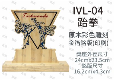 IVL-04跆拳