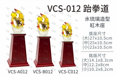 VCS-012 跆拳道
