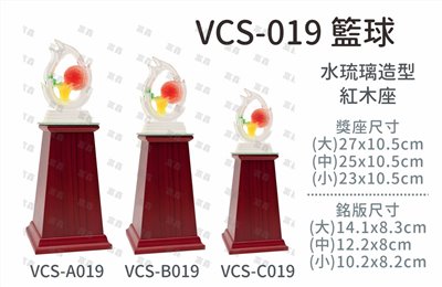 VCS-019 籃球