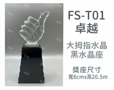 FS-T01卓越