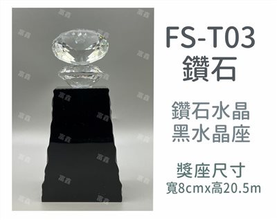 FS-T03鑽石