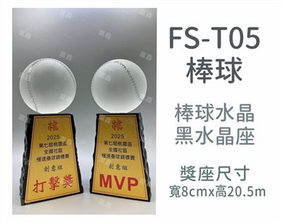FS-T05棒球